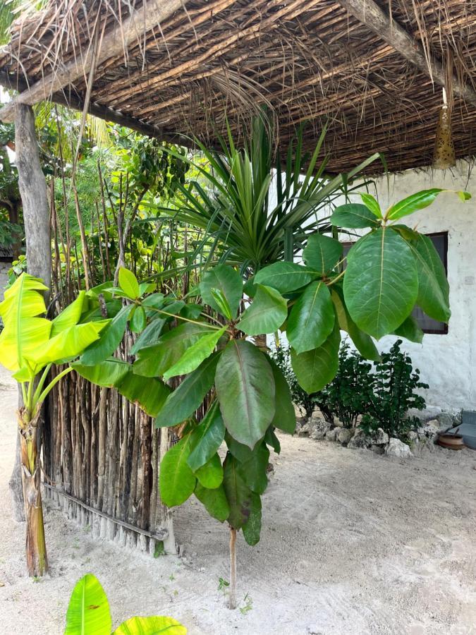 Karanga Bungalows Michamvi Cameră foto
